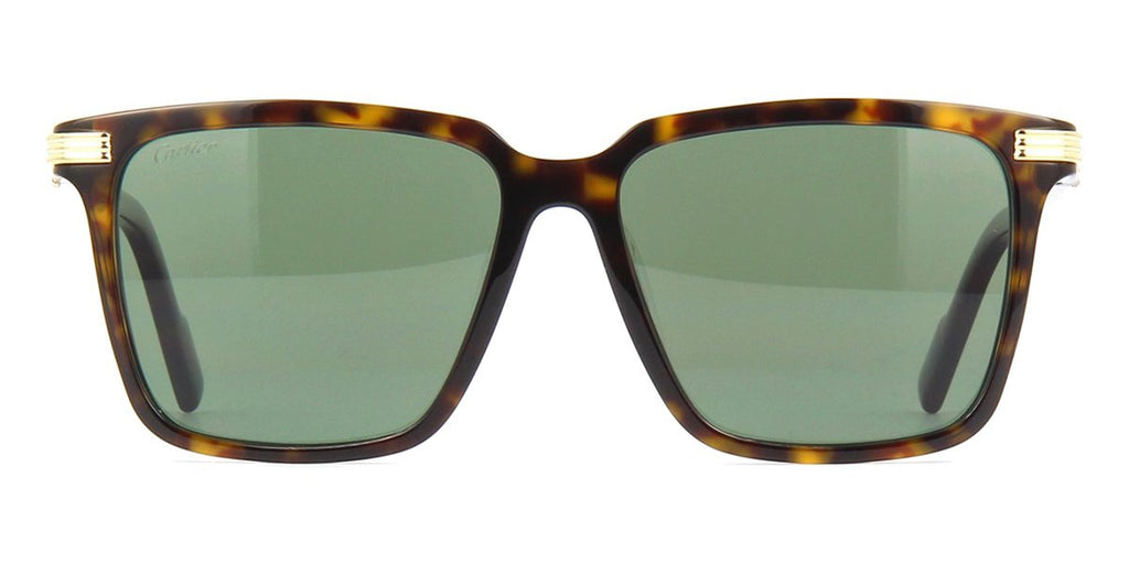 cartier ct0220sa 002 asian fit polarised