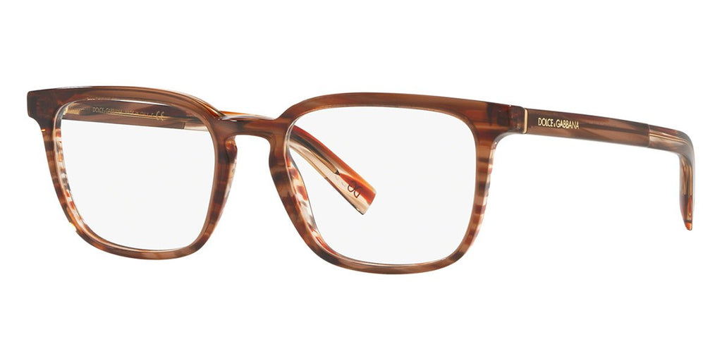 dolce and gabbana dg3307 3197