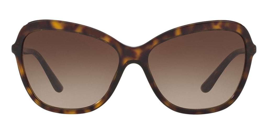 dolce and gabbana dg4297 50213