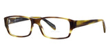 oliver peoples shae ov5163 1051 taupe tortoise