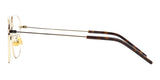 Saint Laurent SL 309 Opt 006 Glasses