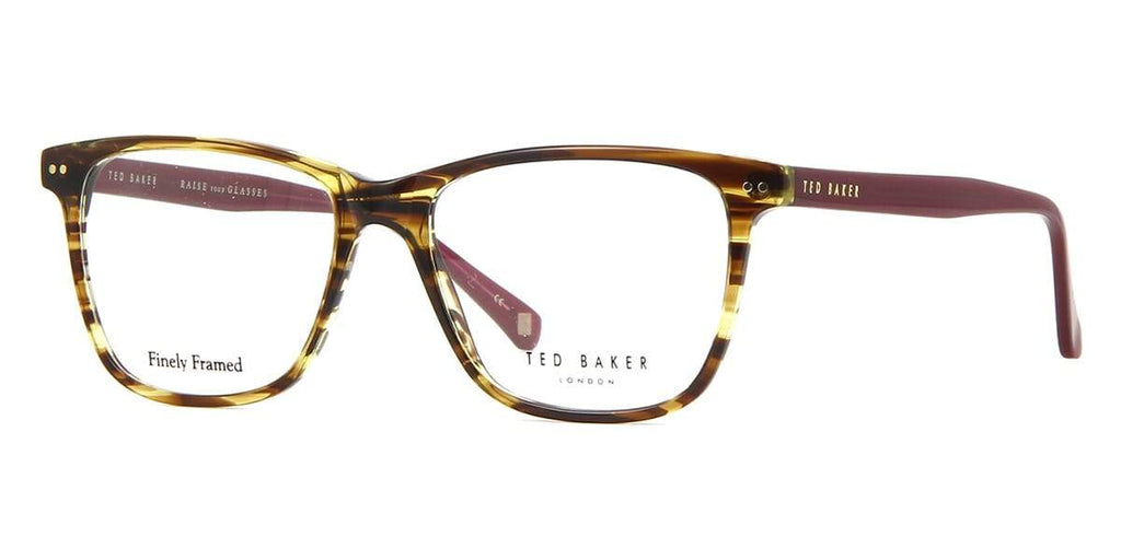 Ted Baker Vance 8175 105 Glasses
